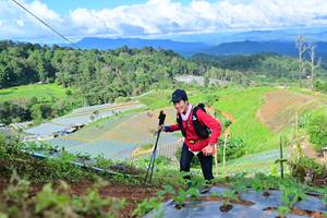 BIB: 
                            <button type="button" onclick="openModal(13382788)" class="btn btn-primary btn-sm float-right btn-popup" data-toggle="modal" data-target=".modal-high-quality">
                        <i class="fas fa-shopping-cart"></i> Add to Cart
                    </button>
                                            <button type="button" onclick="isThisMe(13382788, true)" class="btn btn-success btn-sm float-right btn-popup btn-isme hidden" data-toggle="tooltip" data-placement="bottom" title="นี่คือรูปของคุณใช่ไหม คลิกที่นี่เพื่อเอาเข้าอัลบั้ม">
                        <i class="fas fa-plus"></i> Add to album
                    </button>
                    <button type="button" onclick="isThisMe(13382788, false)" class="btn btn-warning btn-sm float-right btn-popup btn-isnotme hidden">
                        <i class="fas fa-ban"></i> Remove from album
                    </button>